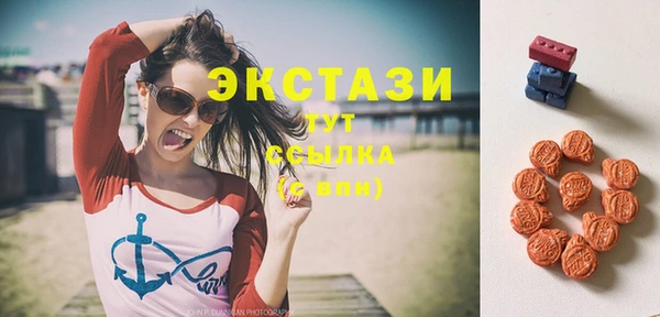 твердый Осташков